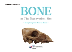 BONE at The Excavation Site - Everything You Need to Know(알아야 할 모든 것 : 뼈) 메인 이미지